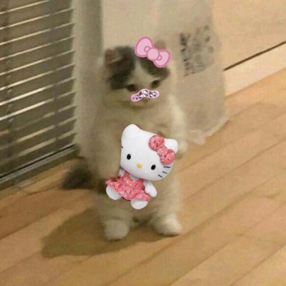 winnie