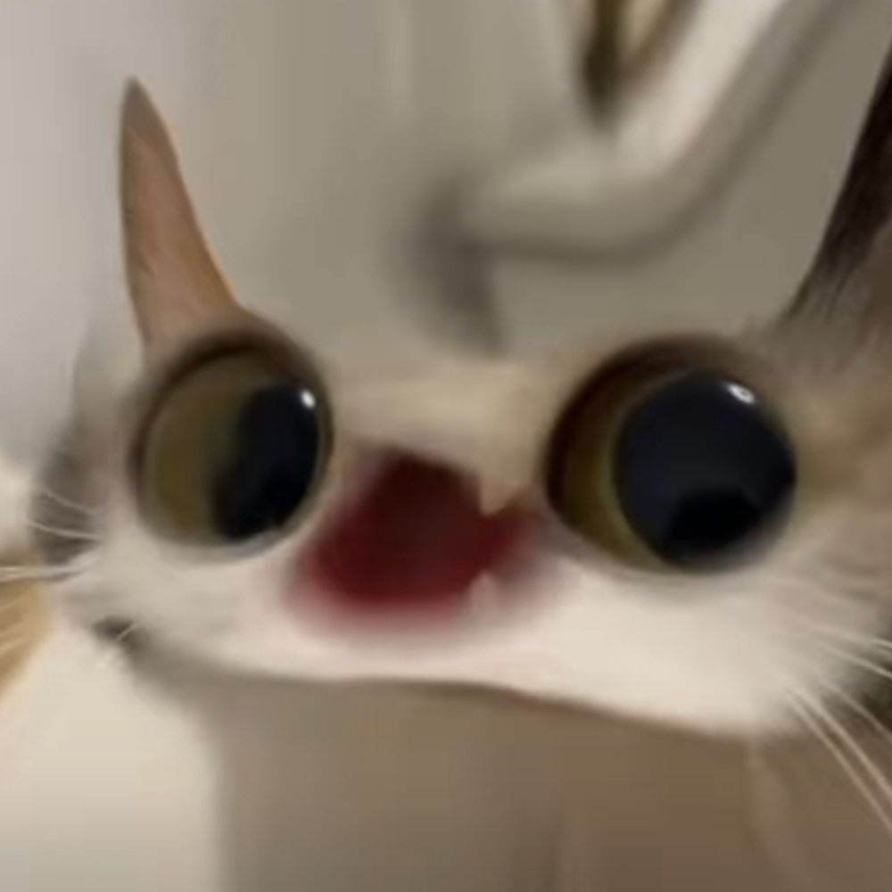 MaNETsu
