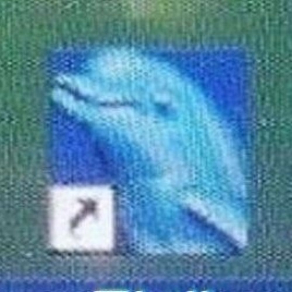 🌊보람차🌊