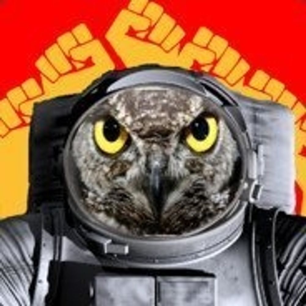 SpaceOwl