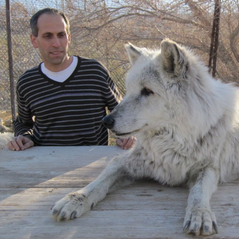 Arik Kershenbaum