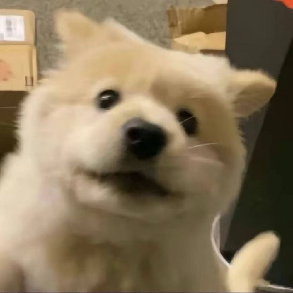 飛蛾小子