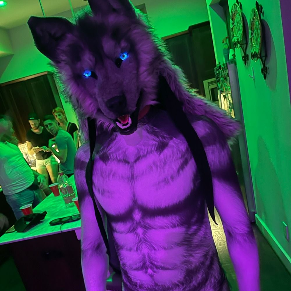 Big Bad Wolf