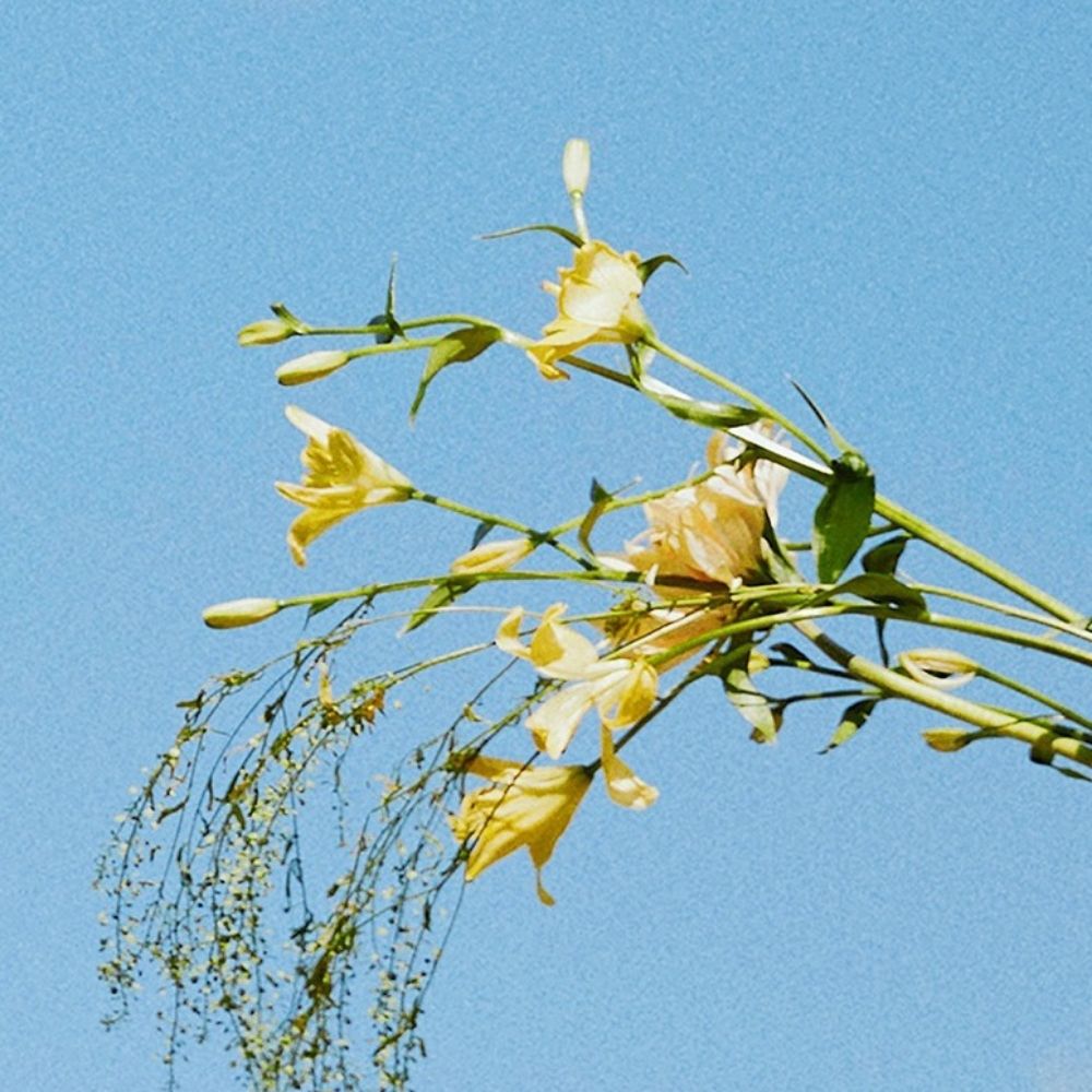 adagio.