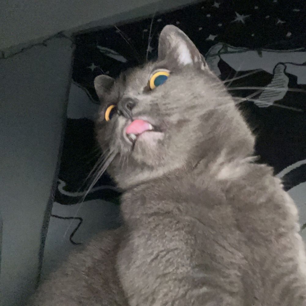 kel