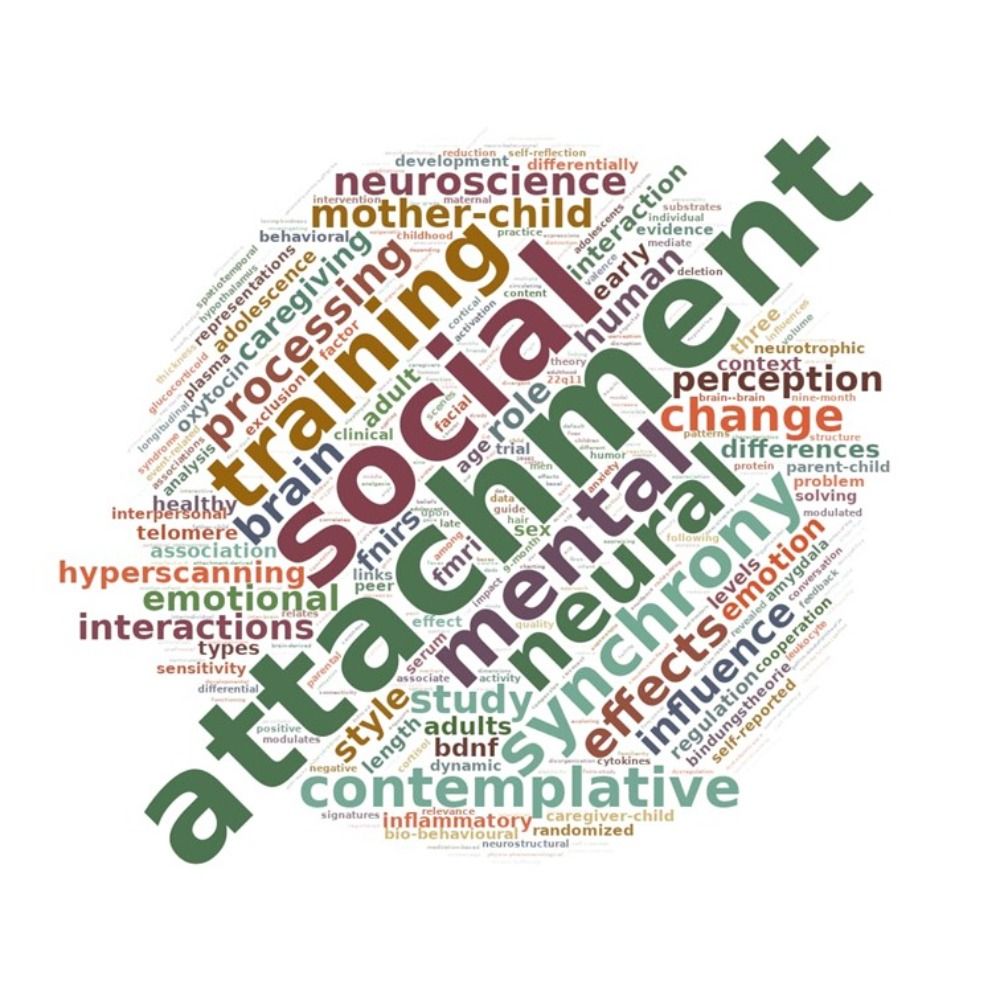 Social Neuroscience of Human Attachment (SoNeAt) Lab