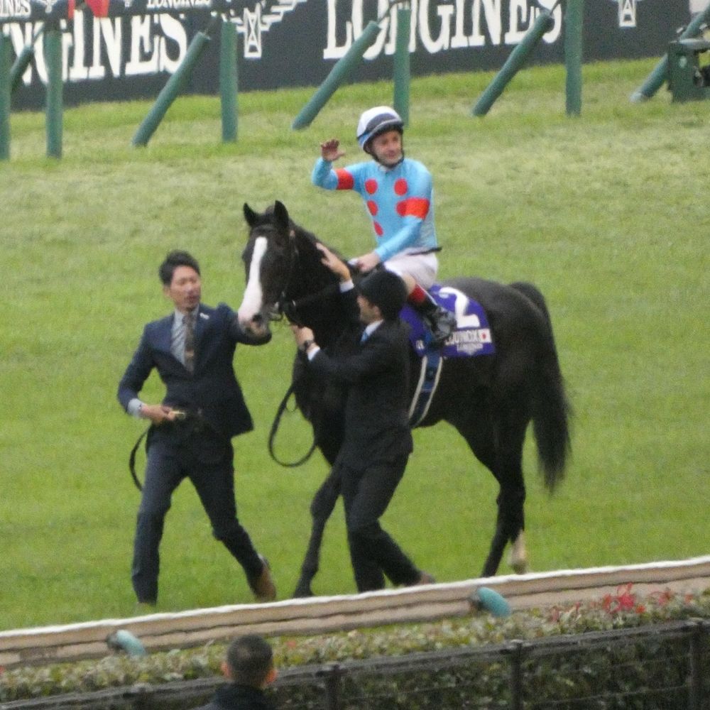 レオ 宿毛提督