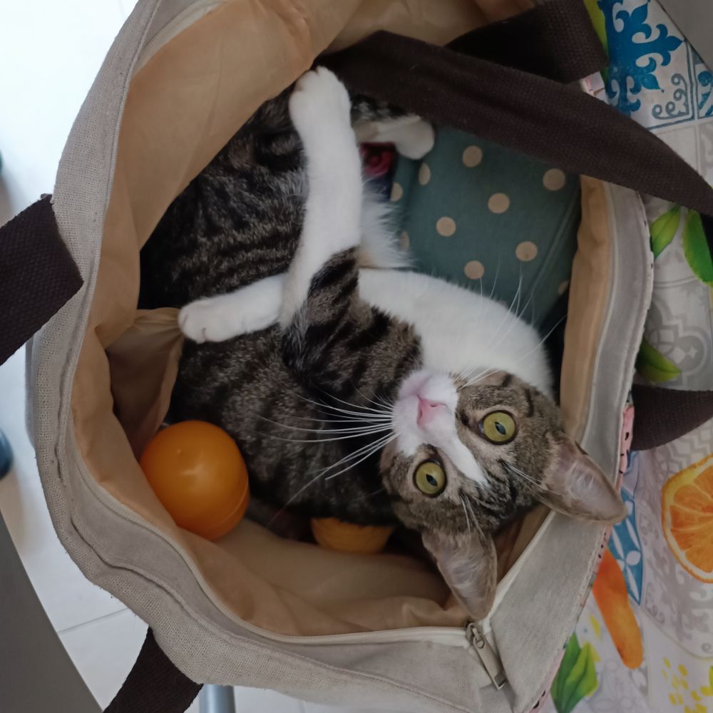 Marcos