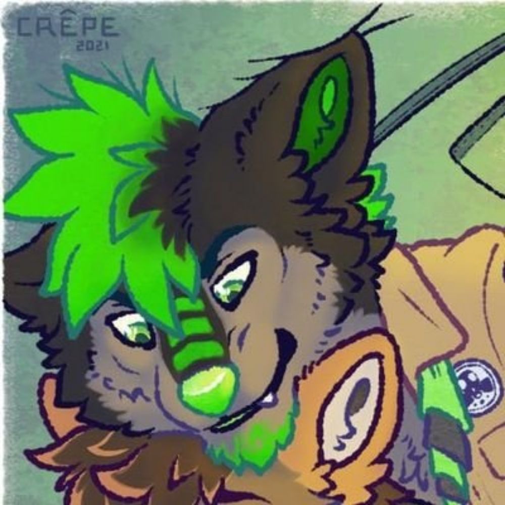 chaotic diapermutt