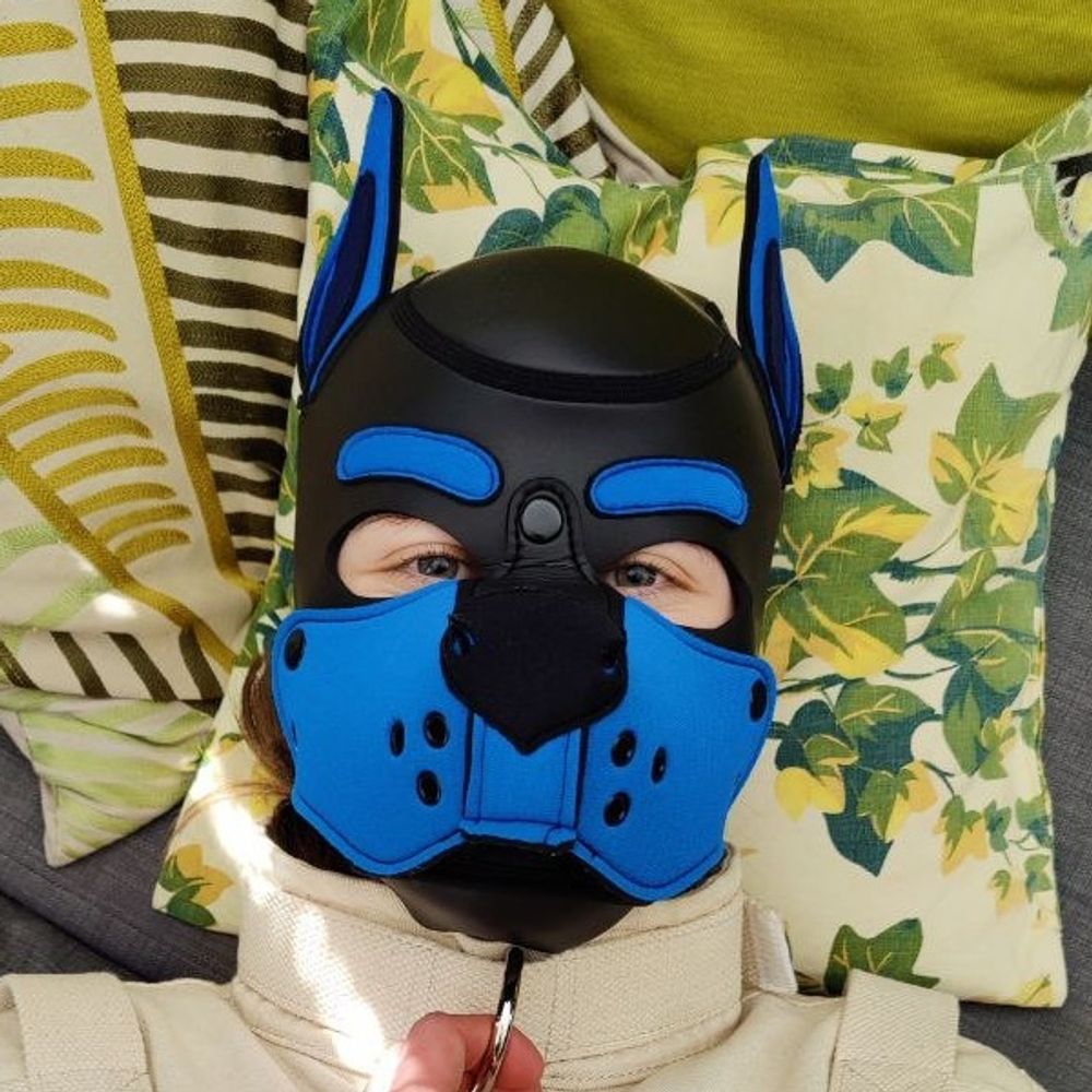 Pup Nøva 🐾