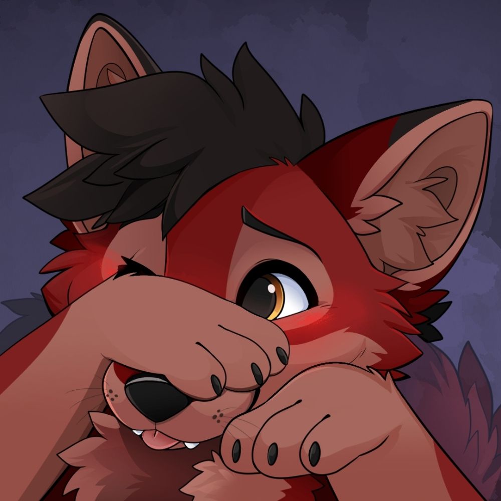 Ace Koyote