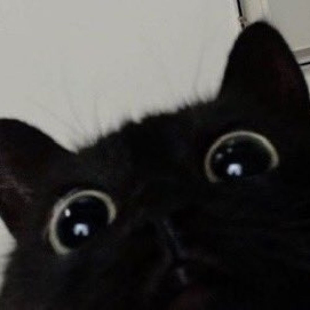 大翔