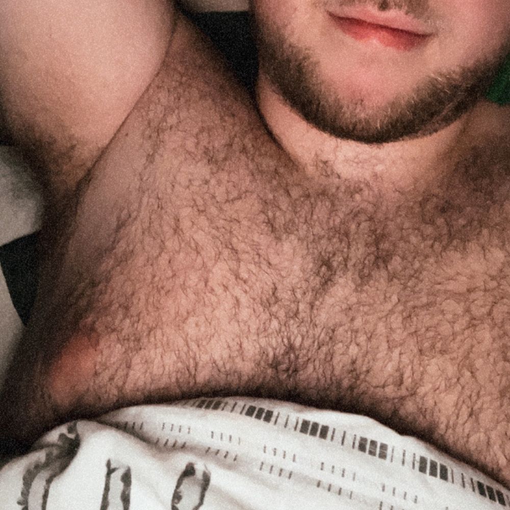 ALteddybear