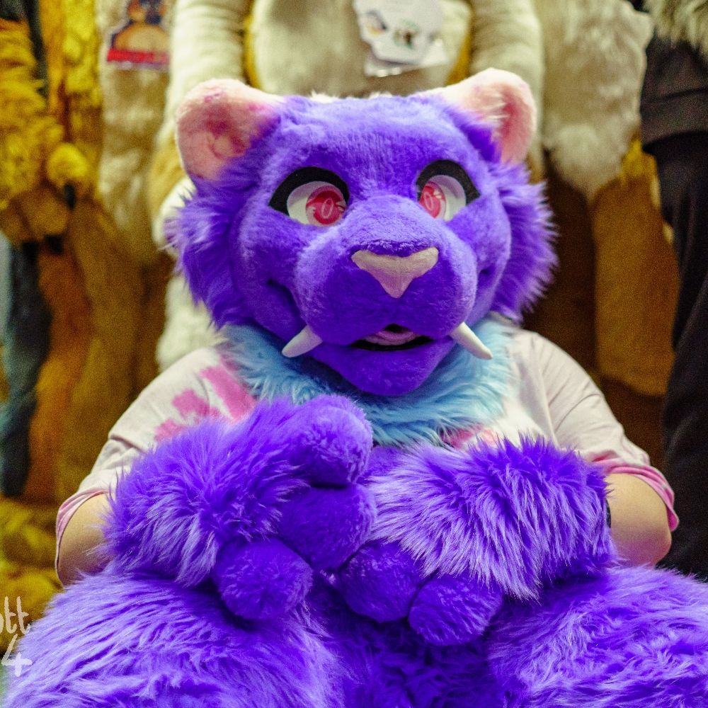 Nala Sprinkles