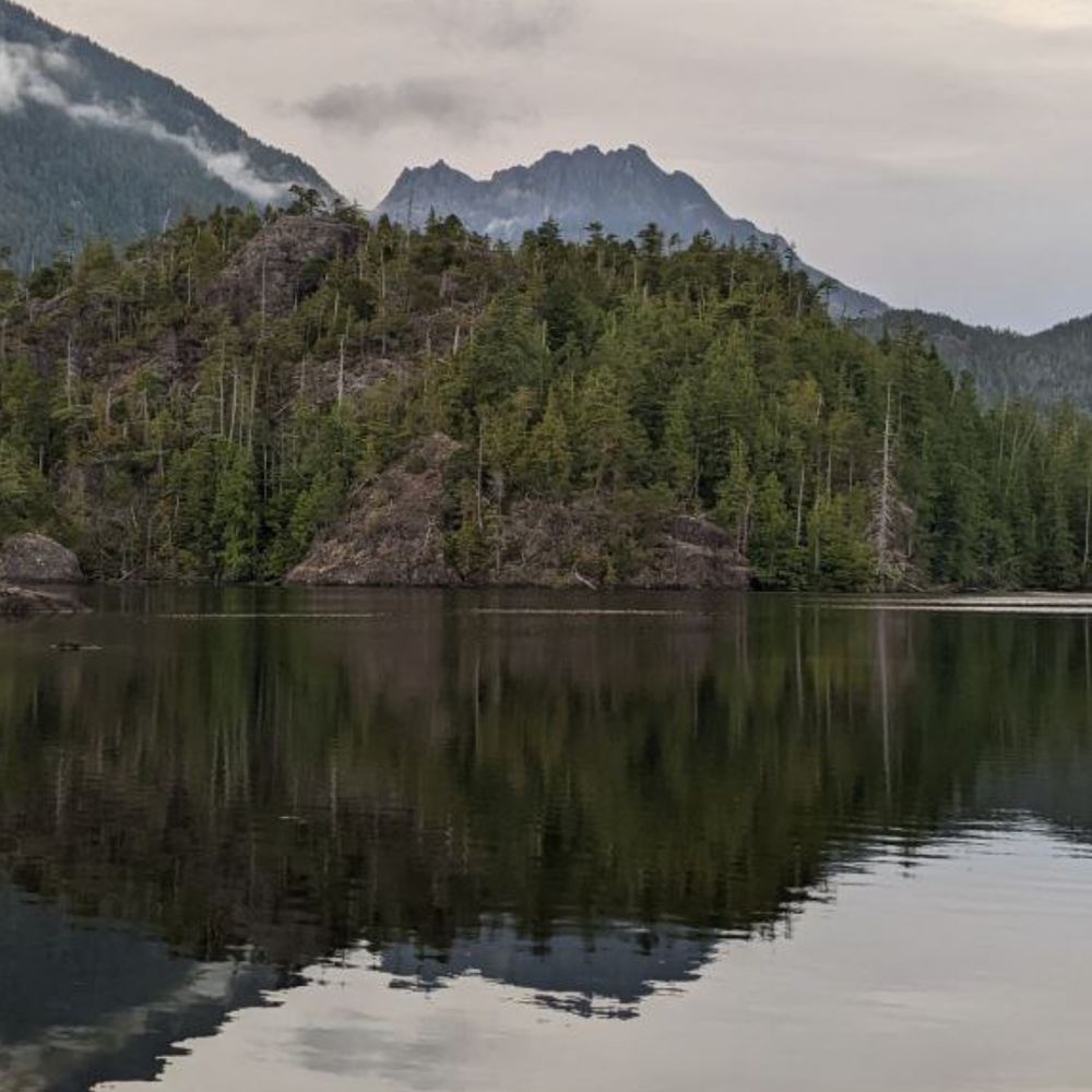 cageyratfish lake feed