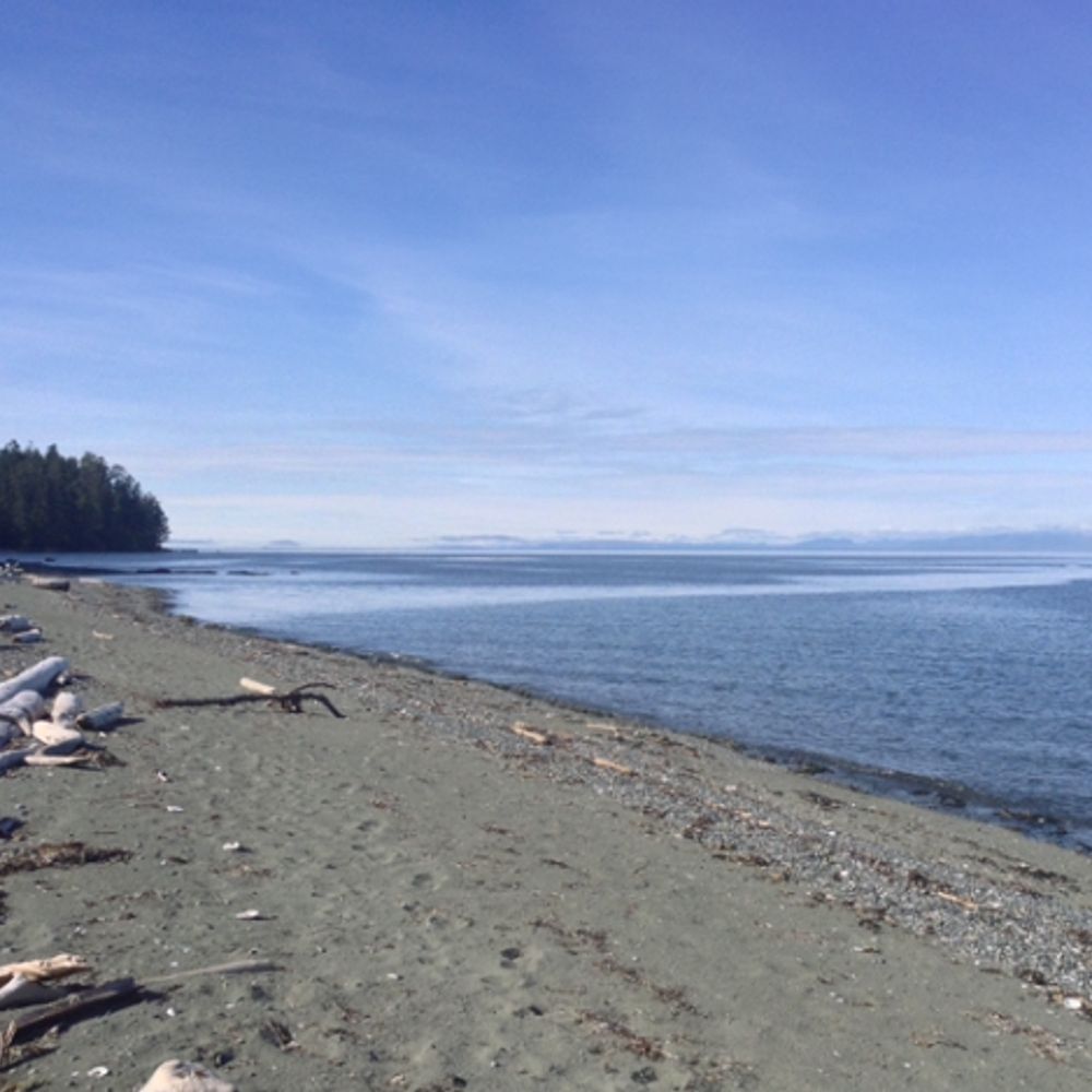 cageyratfish Beaches