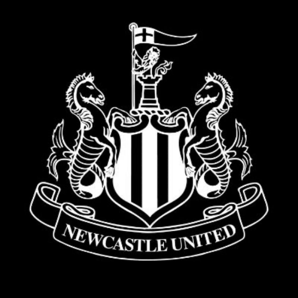 Newcastle Acadamy