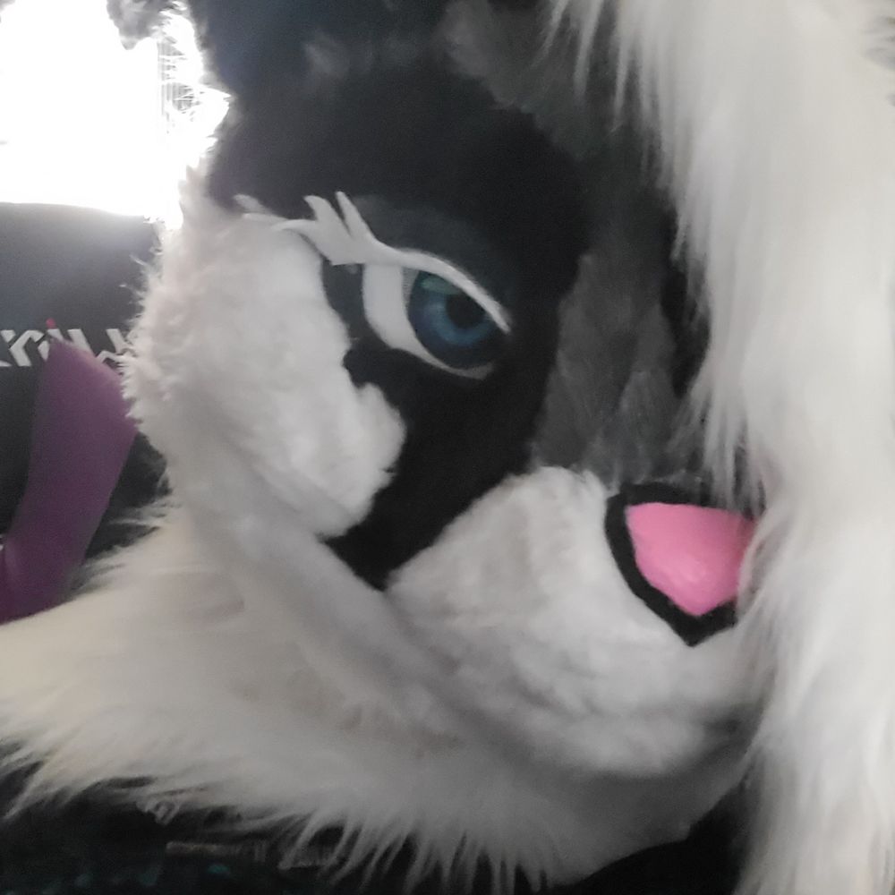 Nekobunny