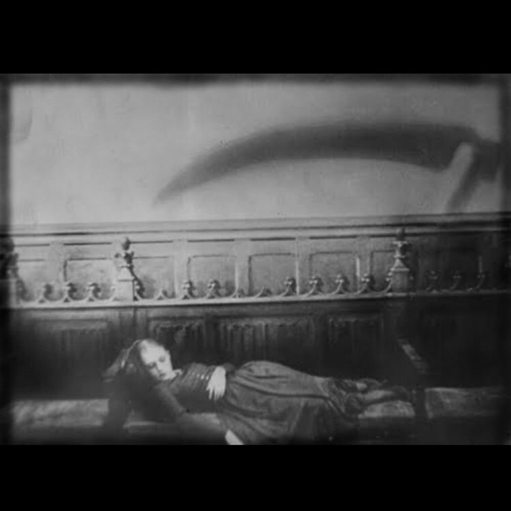 dokomojigokusa.bsky.social