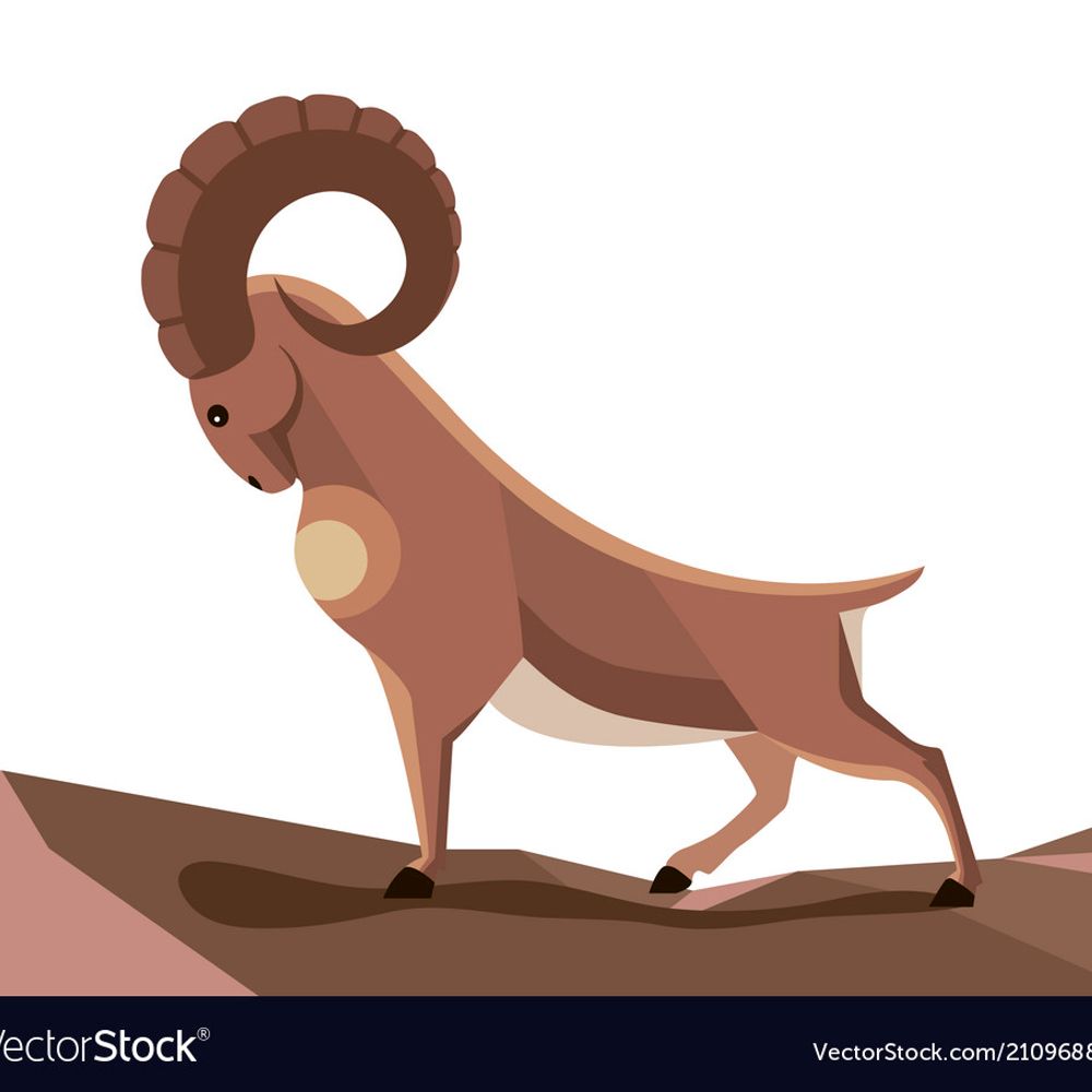 George the Toros