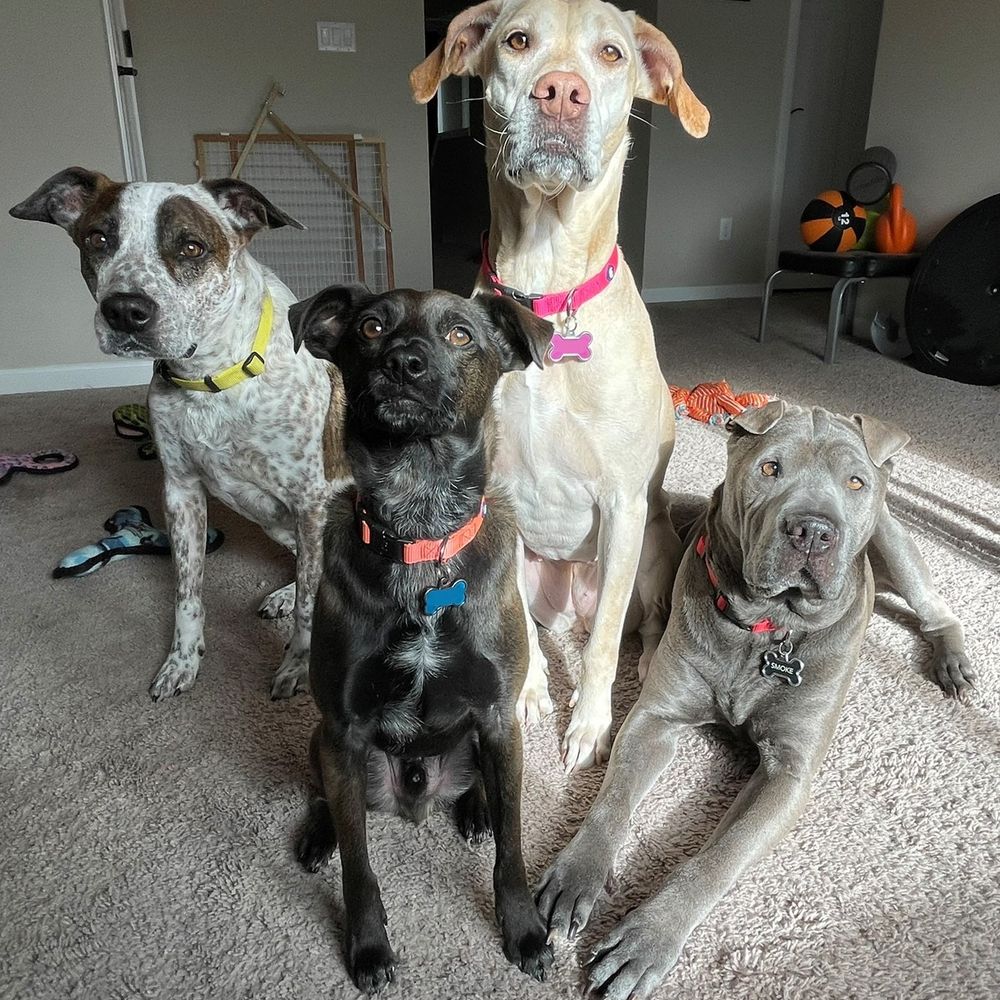 The Heck Quartet