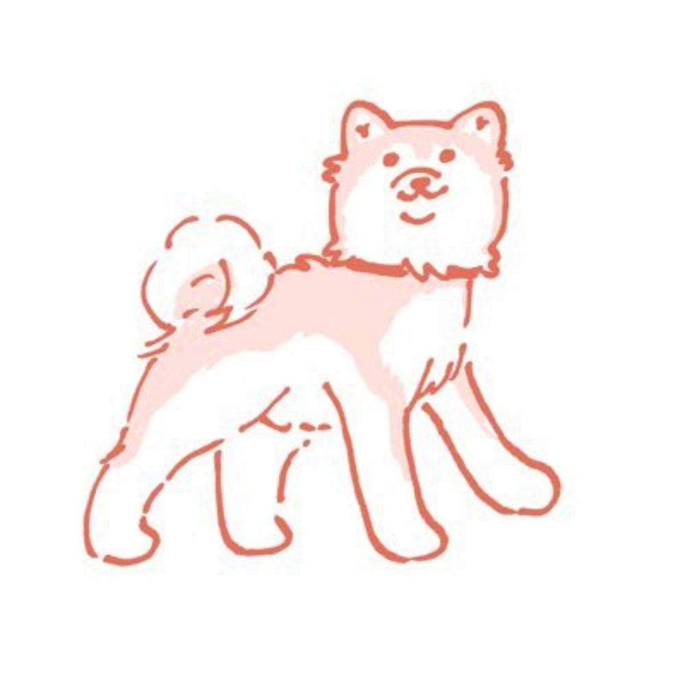 Akitainu