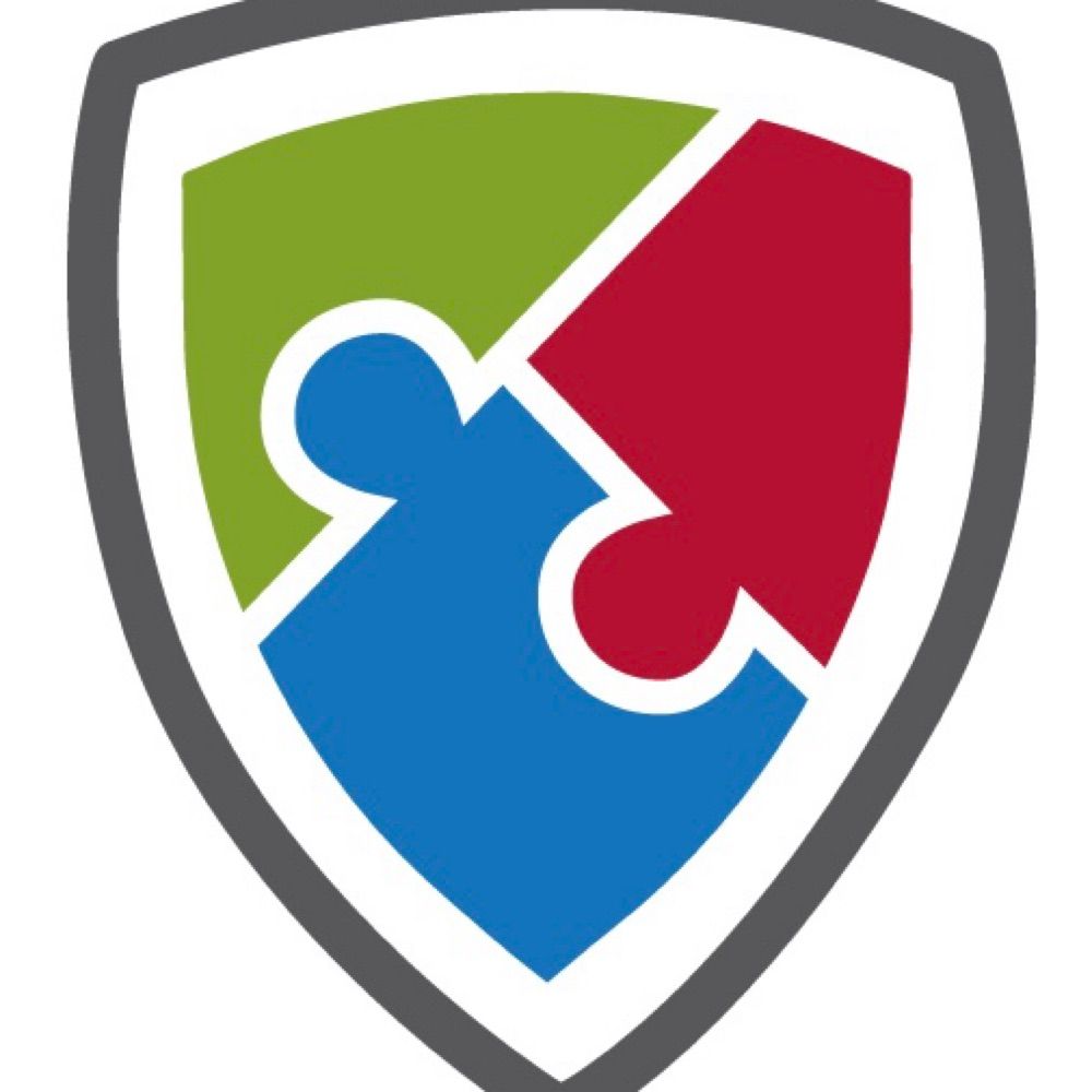 Integral Consulting Services