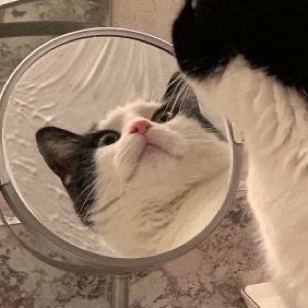 Oooo_Pie