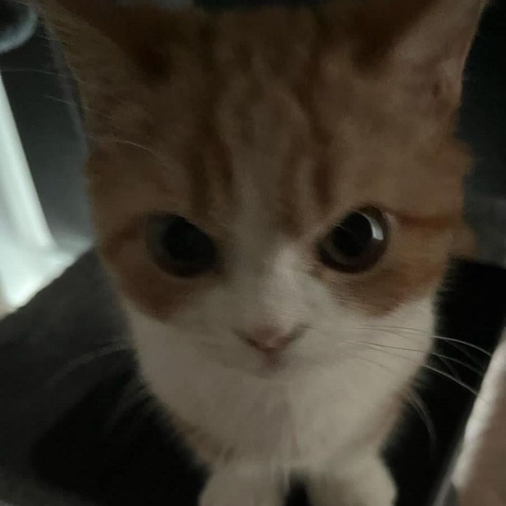 miiiii ☾