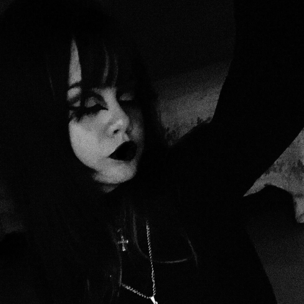 taysh 🕷️
