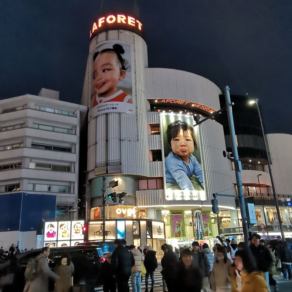 ディレ