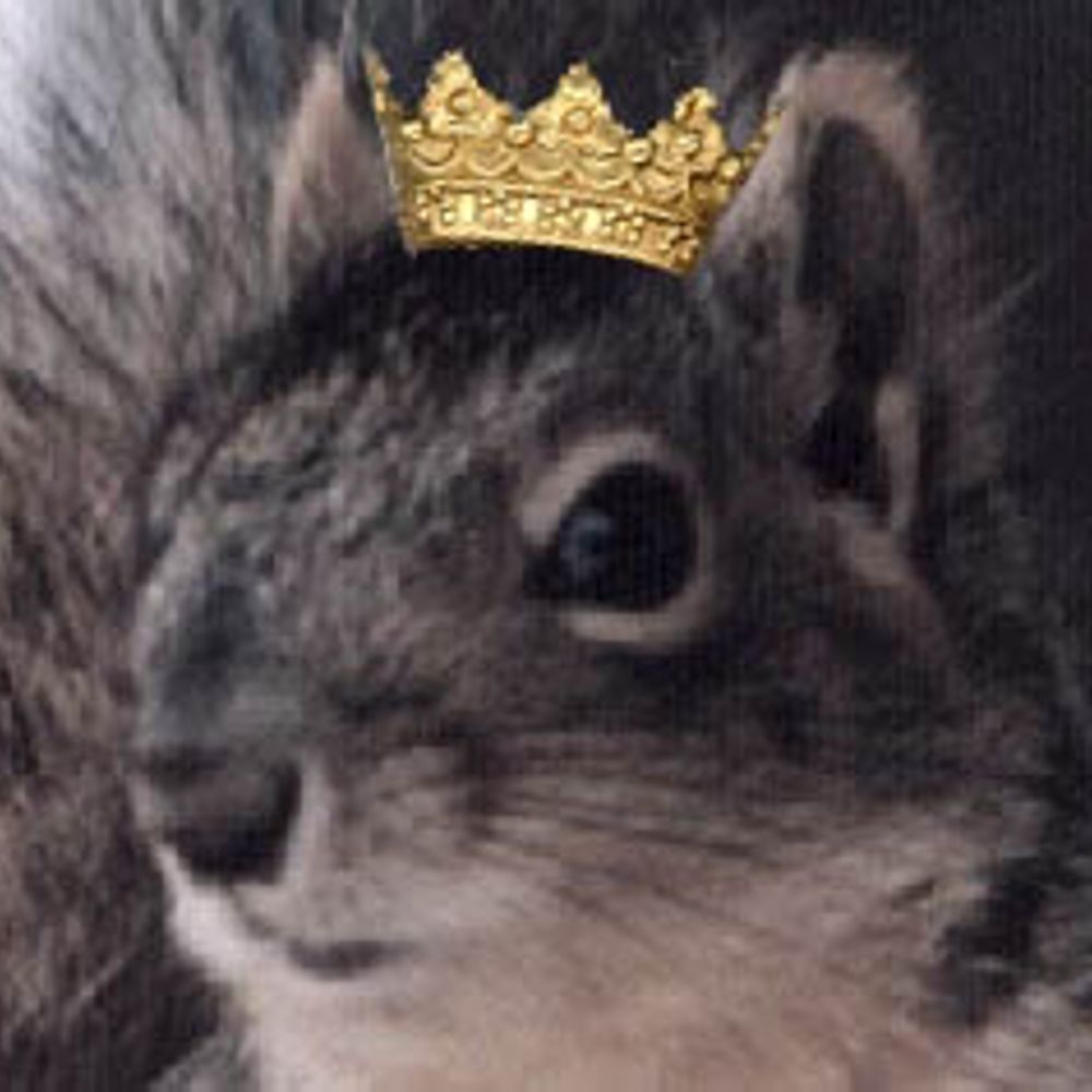 Profile picture thesquirrelking.bsky.social