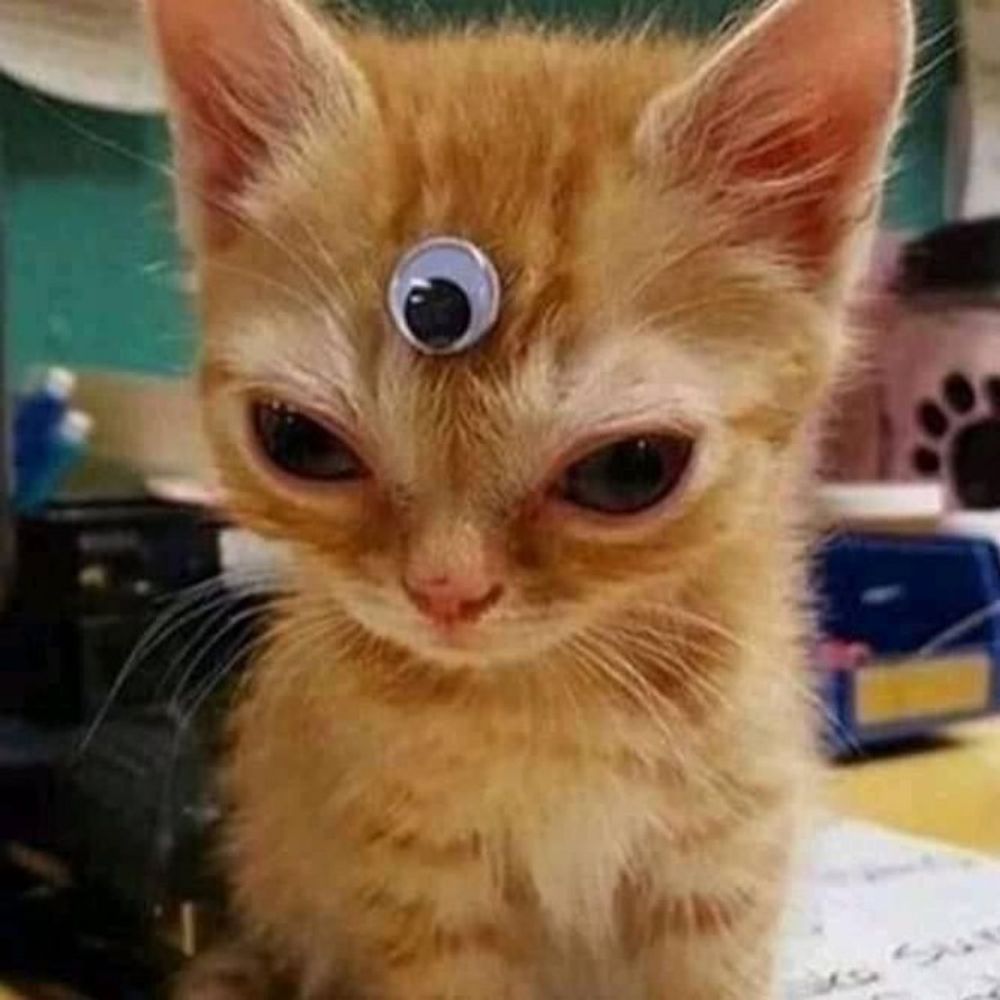 Лин