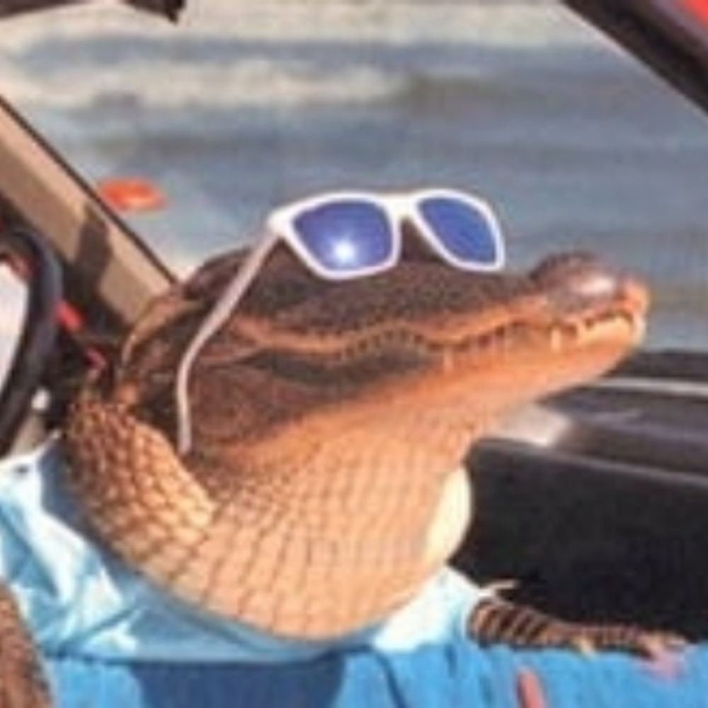swampTRASH