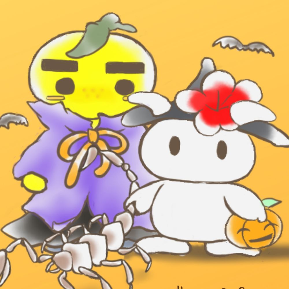 umeblossoms