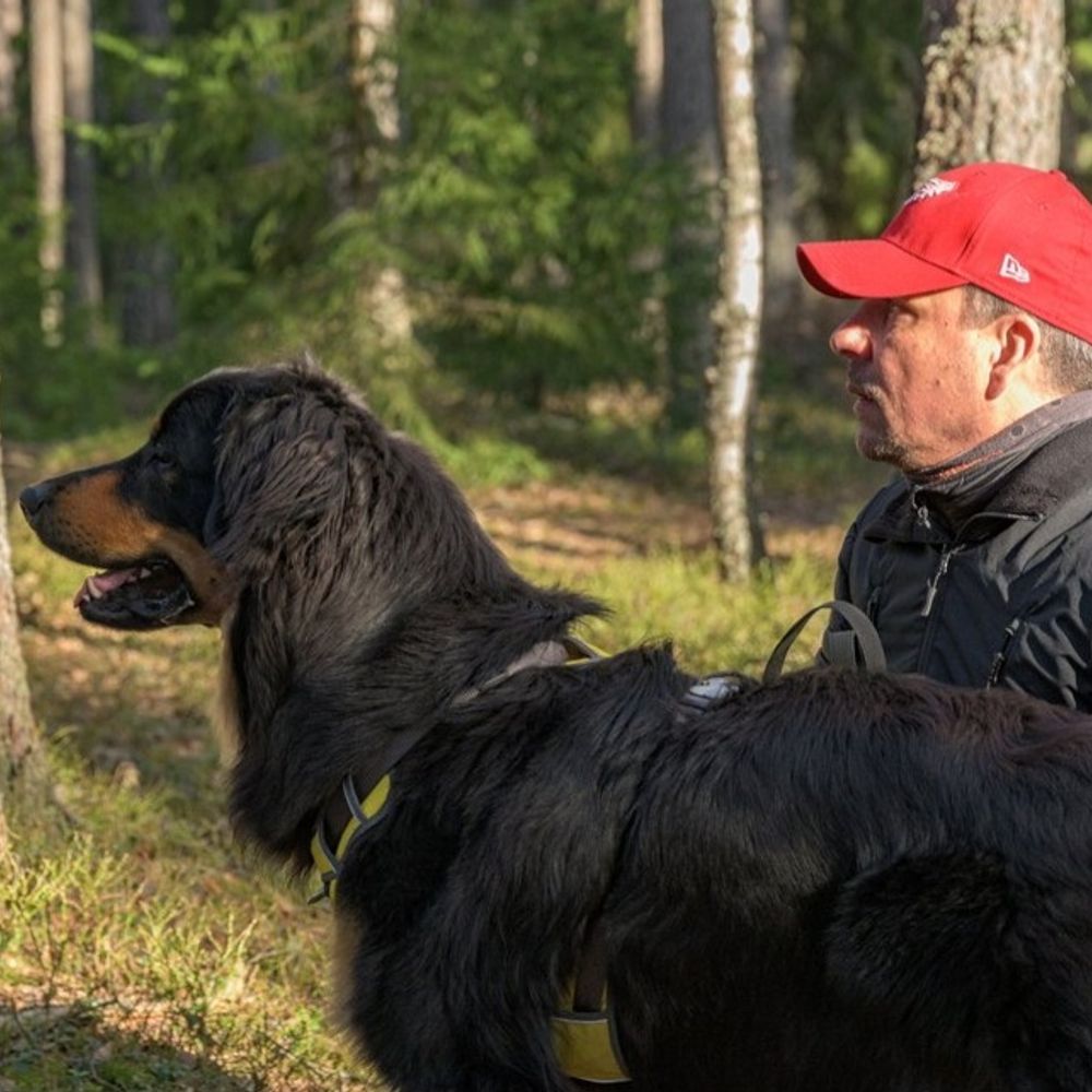 Mikko