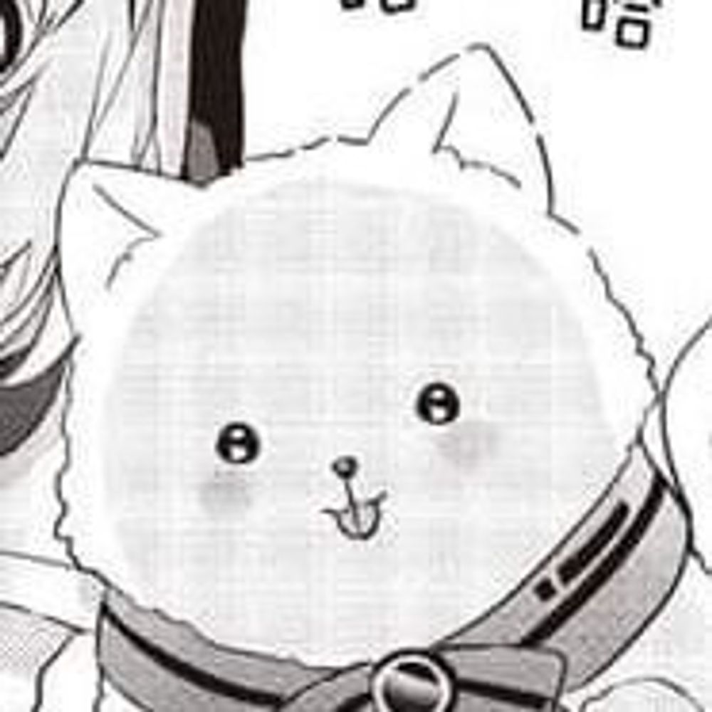 香風智乃的狗
