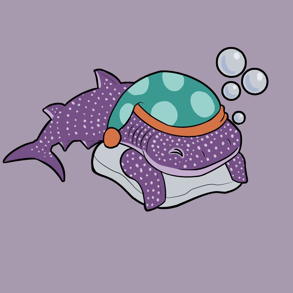 Sleepy Shark Studio