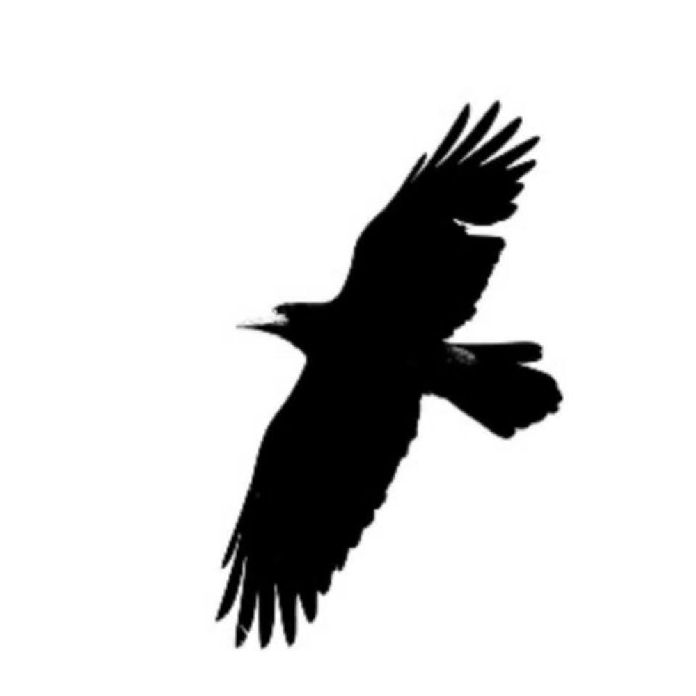 Broken Wing Productions