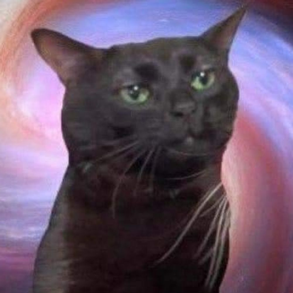 Radcats