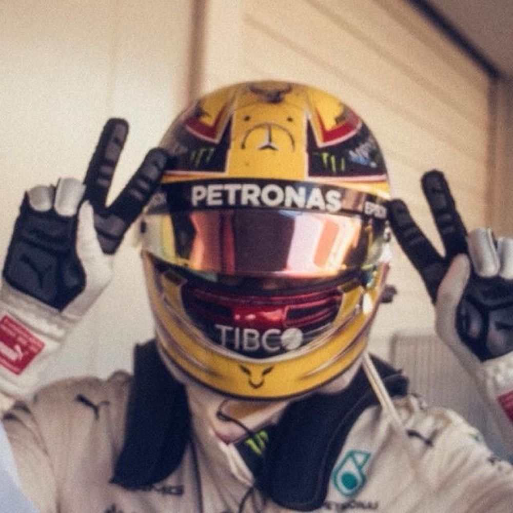 purpleplus44.teamlh.social profile picture