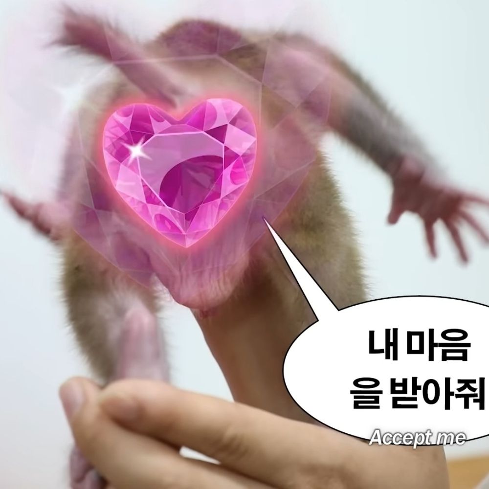 이토데스와