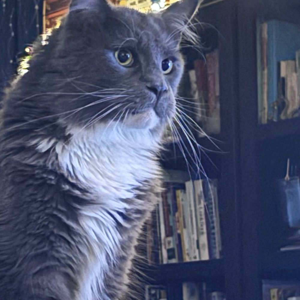 Cattabook