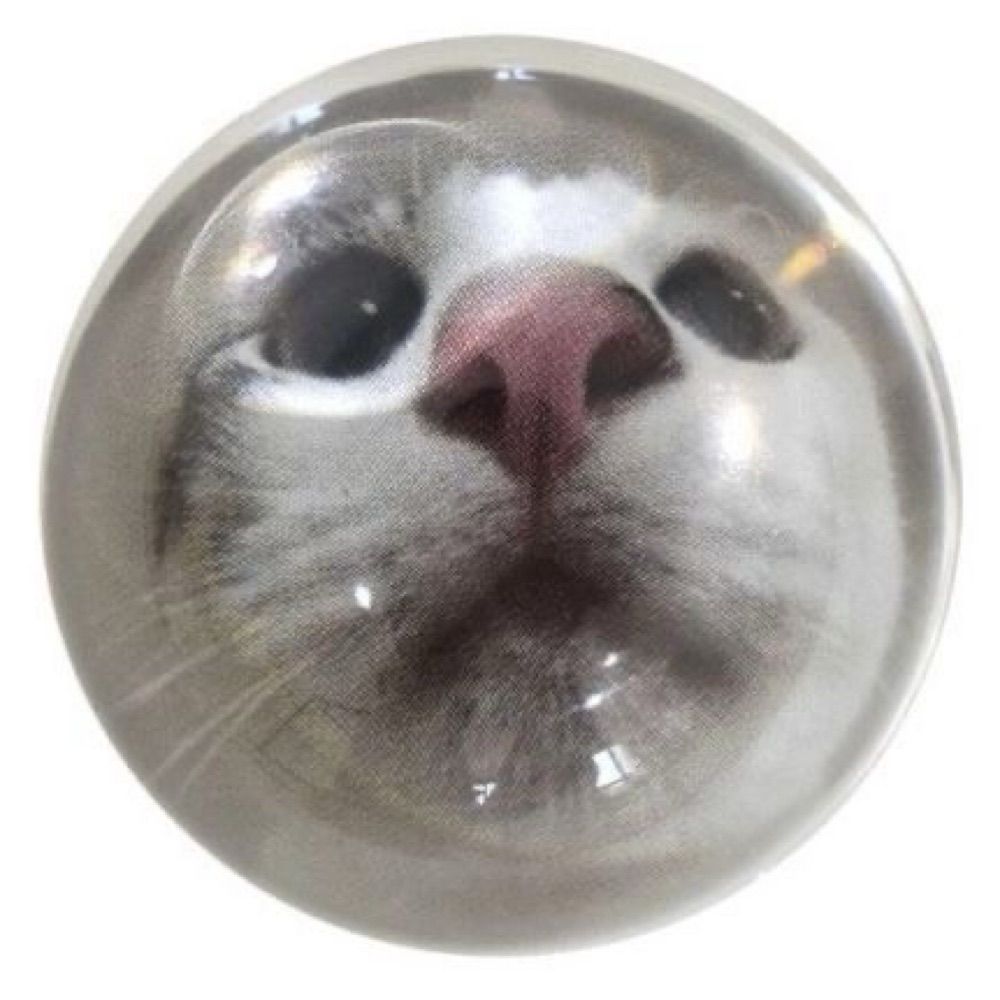 Guifufu