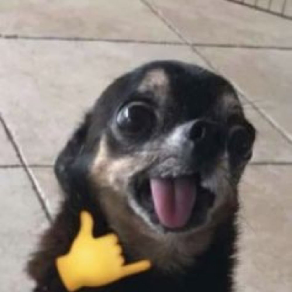Umapessoaae