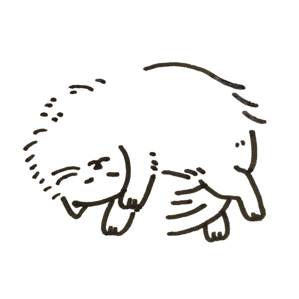 ひとは