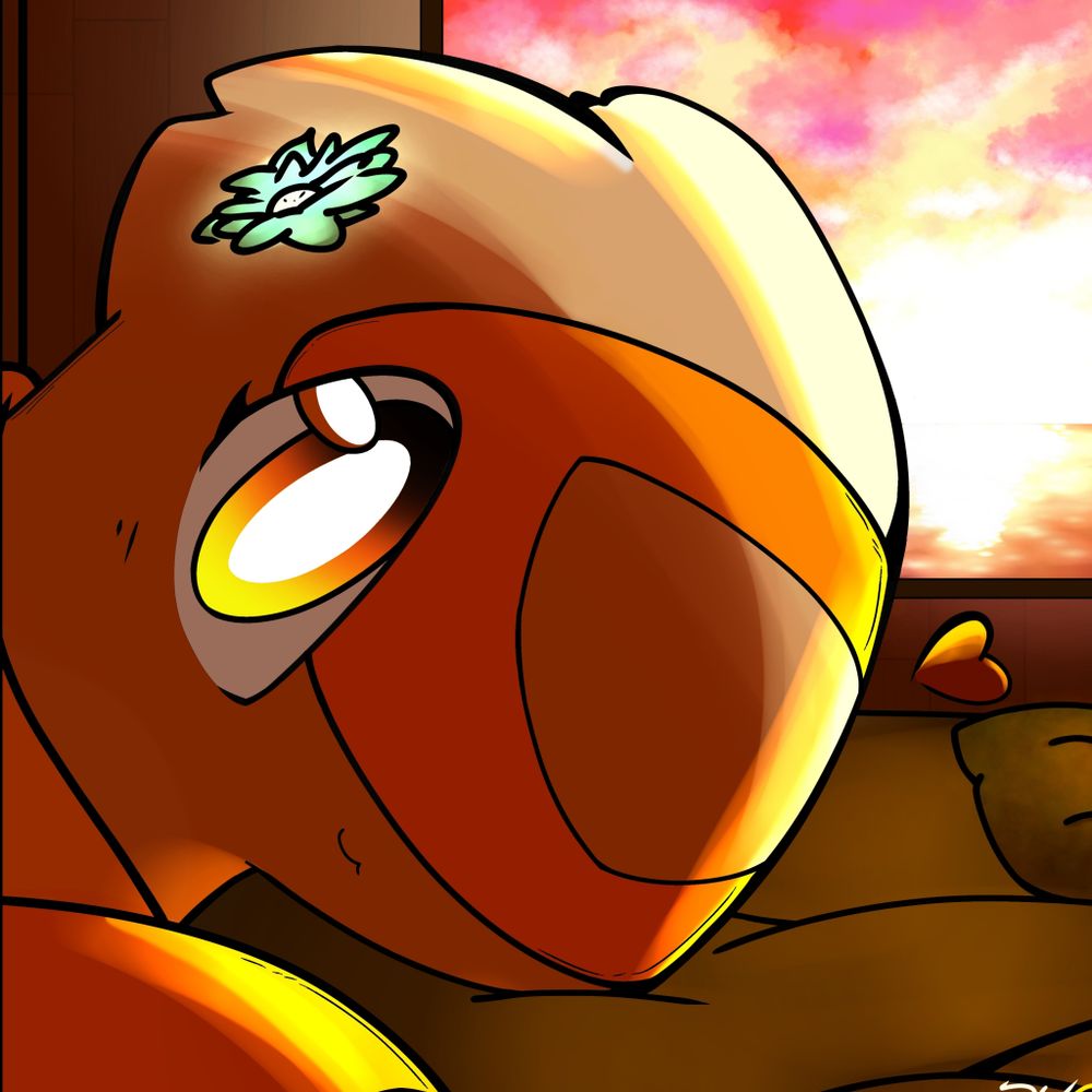 Sunset!