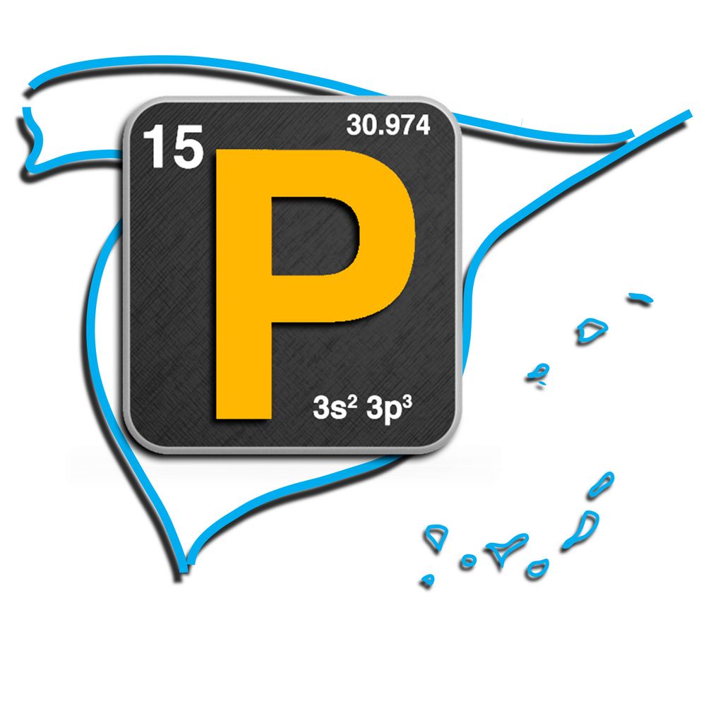 Spanish Society of Phosphorus Chemistry