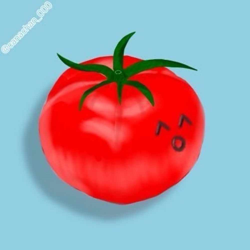 ｶﾅﾁｬﾝ🍅