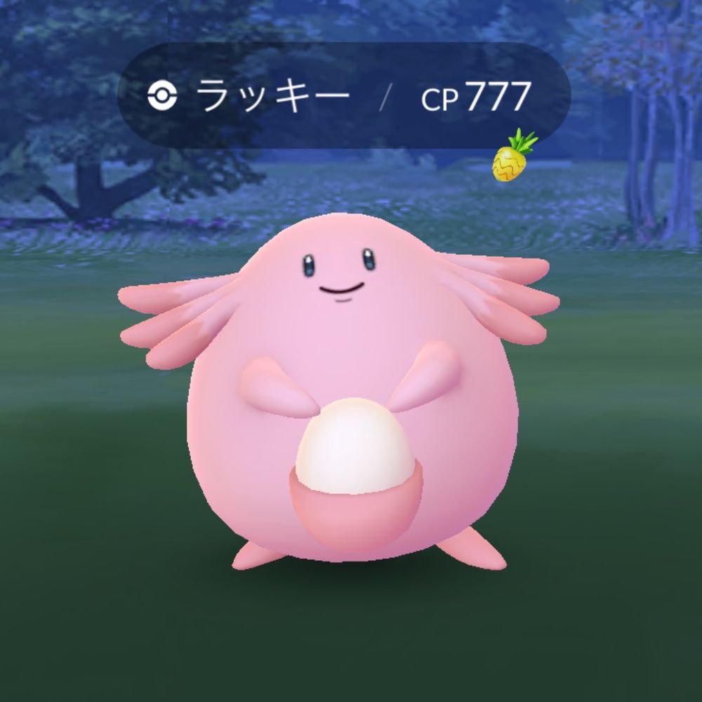 滝啓輔